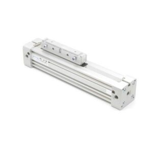 Бесштоковый пневмоцилиндр RDL-0025-0150 Pemaks