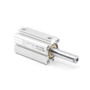 Пневмоцилиндр KSEA-20-010 Pemaks