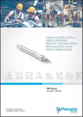 Пневмоцилиндры серии PM