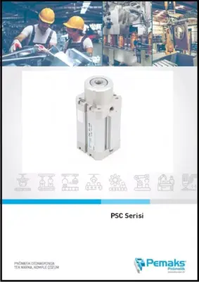 Стопорные пневмоцилиндры PSC